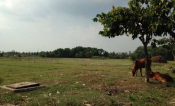 Làm gì khi mua đất nhưng thuộc diện quy hoạch?