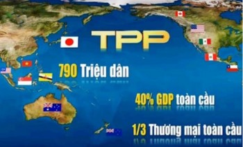 Thị trưởng bất động sản hưởng lợi gì từ TPP?